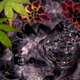 Illustration for article titled Shooting Challenge: Water Drop Gallery Part 1